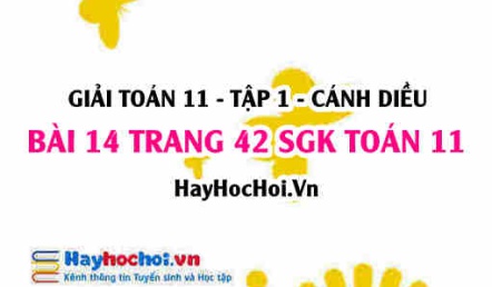 Giải bài 14 trang 42 Toán 11 tập 1 SGK Cánh Diều